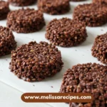 Dark chocolate quinoa crisps in a bowl, showcasing their crunchy texture and rich flavor