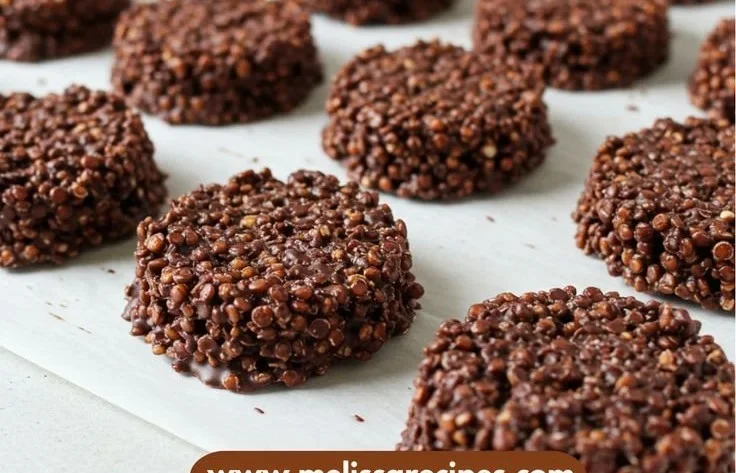 Dark chocolate quinoa crisps in a bowl, showcasing their crunchy texture and rich flavor