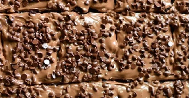 Delicious and healthy zucchini brownies made with fresh zucchini