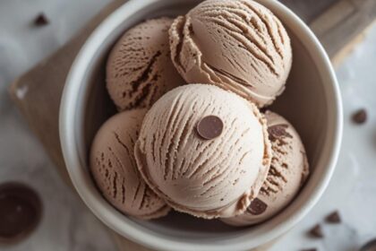 3 ingredient chocolate ice cream