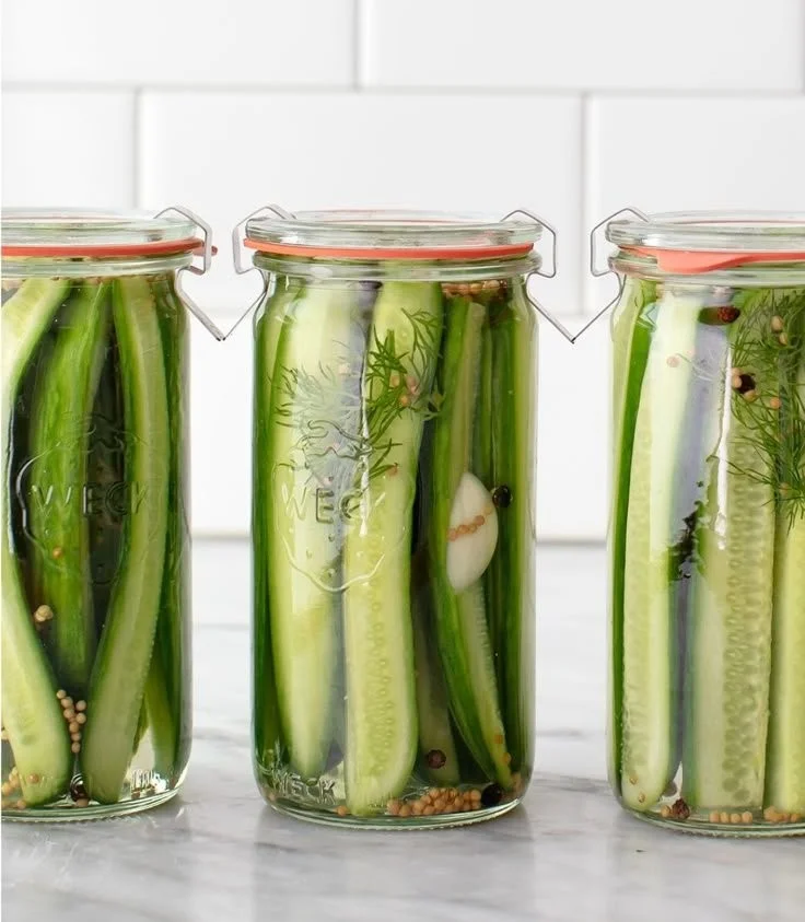 Homemade dill pickles in a jar with fresh herbs and spices