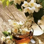 A cup of fragrant jasmijnthee showcasing its rich color and aroma.