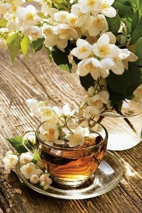 A cup of fragrant jasmijnthee showcasing its rich color and aroma.