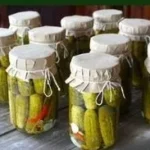 Delicious pickled Kirby cucumbers in a jar, perfect for snacking and recipes.