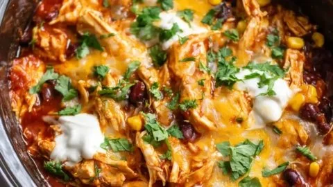 Crockpot chicken enchilada casserole topped with cheese and fresh cilantro