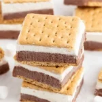 Frozen S'mores dessert with chocolate, marshmallows, and graham crackers