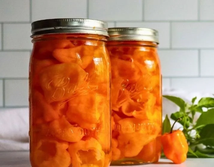 Sweet and spicy pickled habanero peppers in a jar